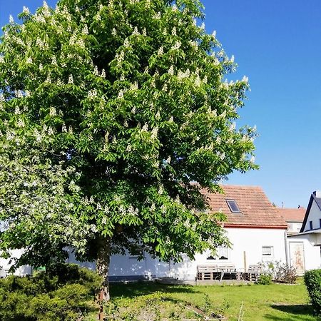 Ferienwohnung Lodig Gross Sarchen Dış mekan fotoğraf
